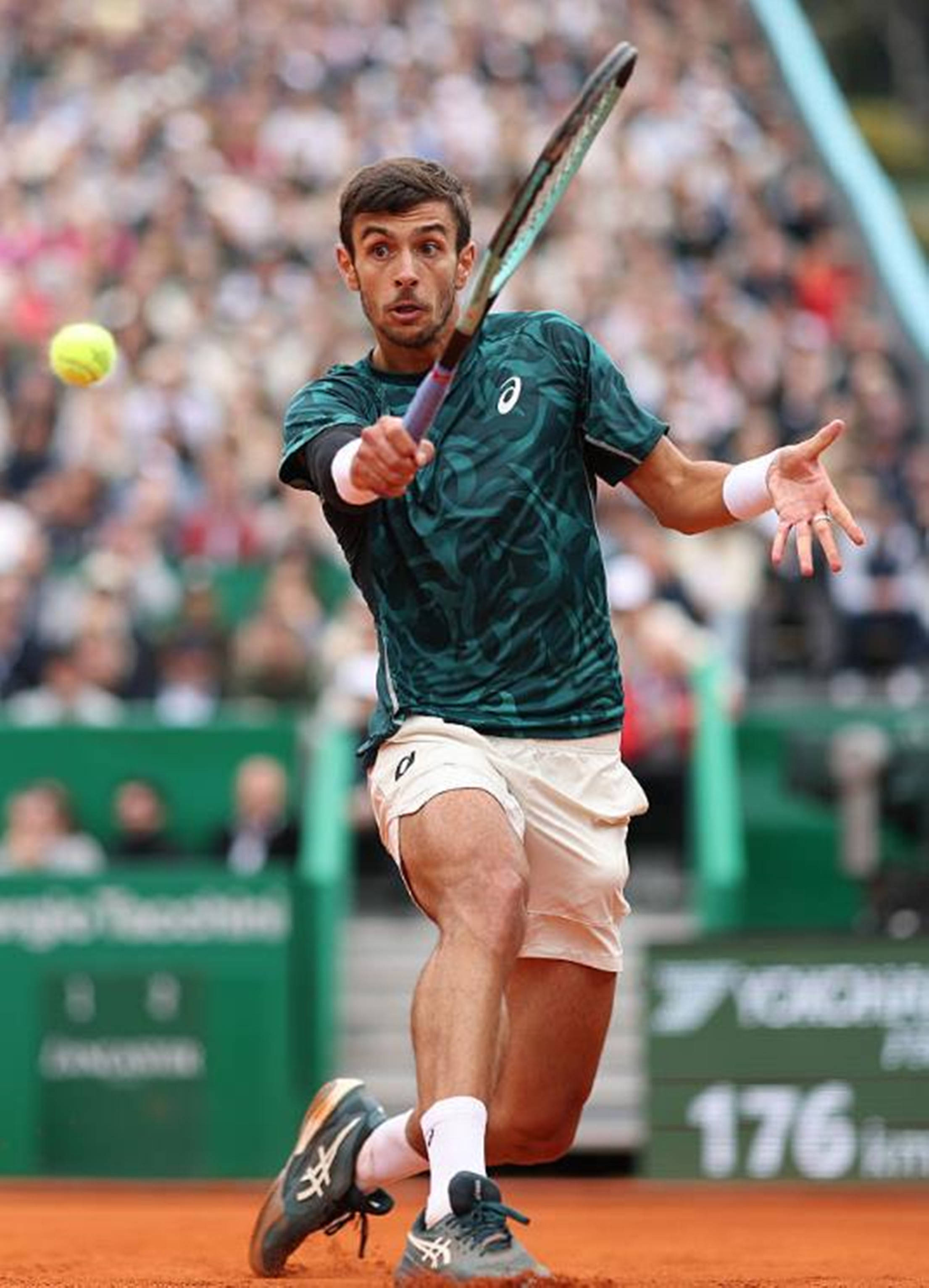 的篮球盛宴 的篮球盛宴